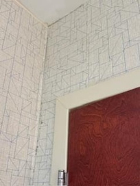 Mold on wallpaper