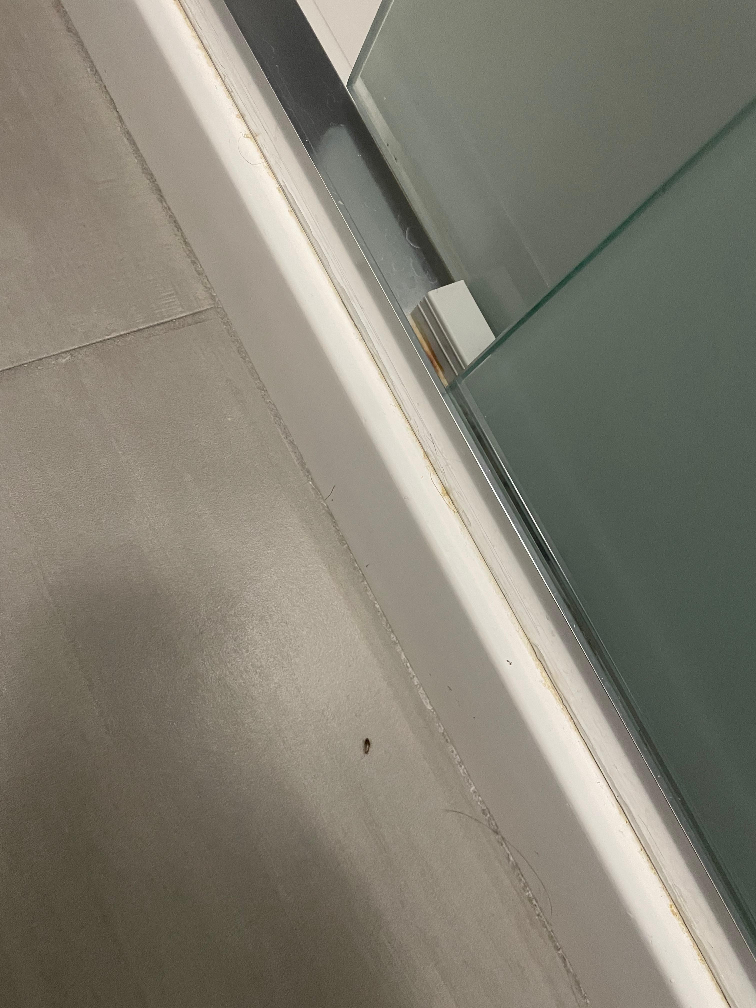 Found insect crawling around.