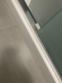 Found insect crawling around.