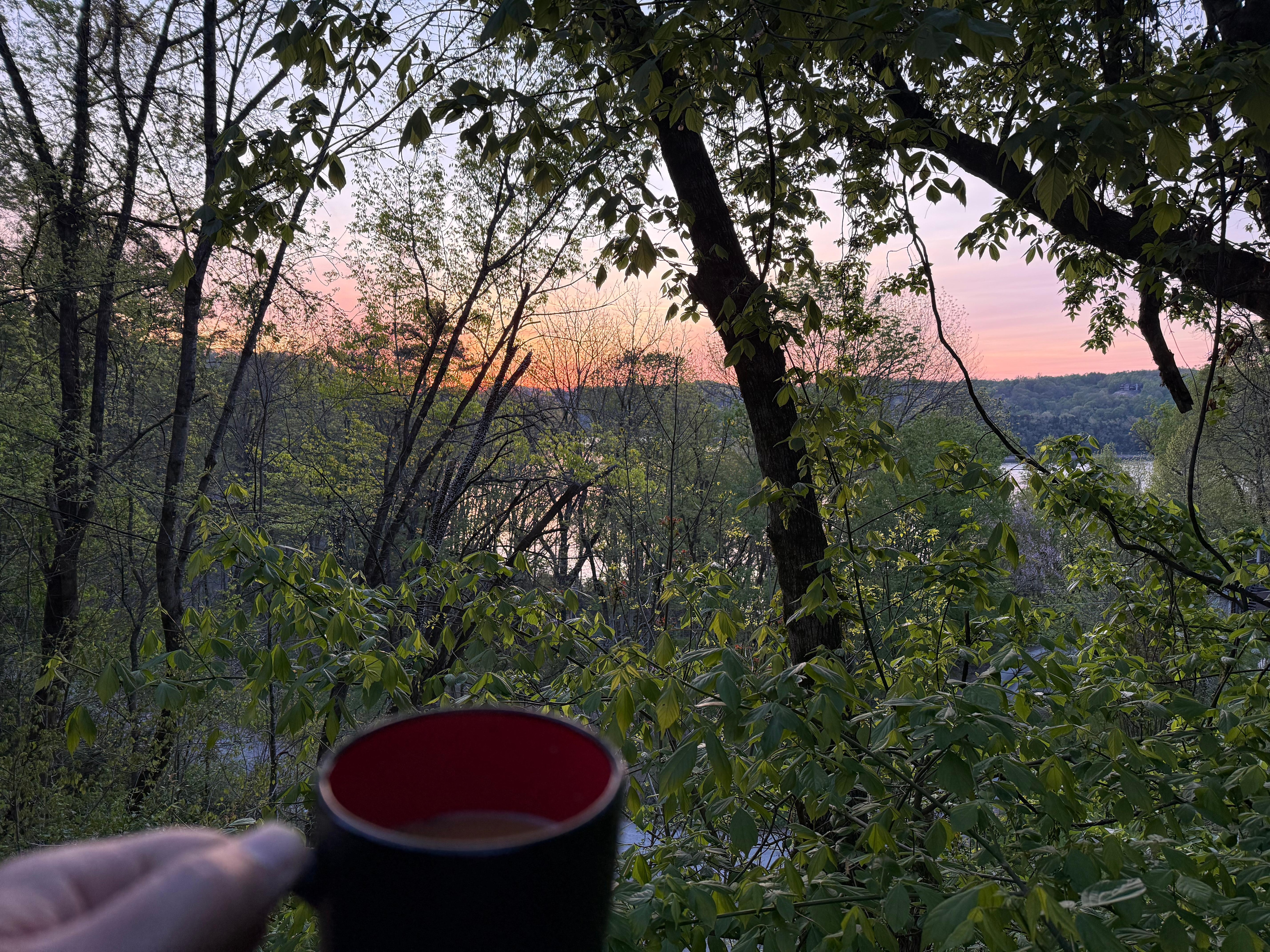 Every morning coffee on the deck listening to the birds. 