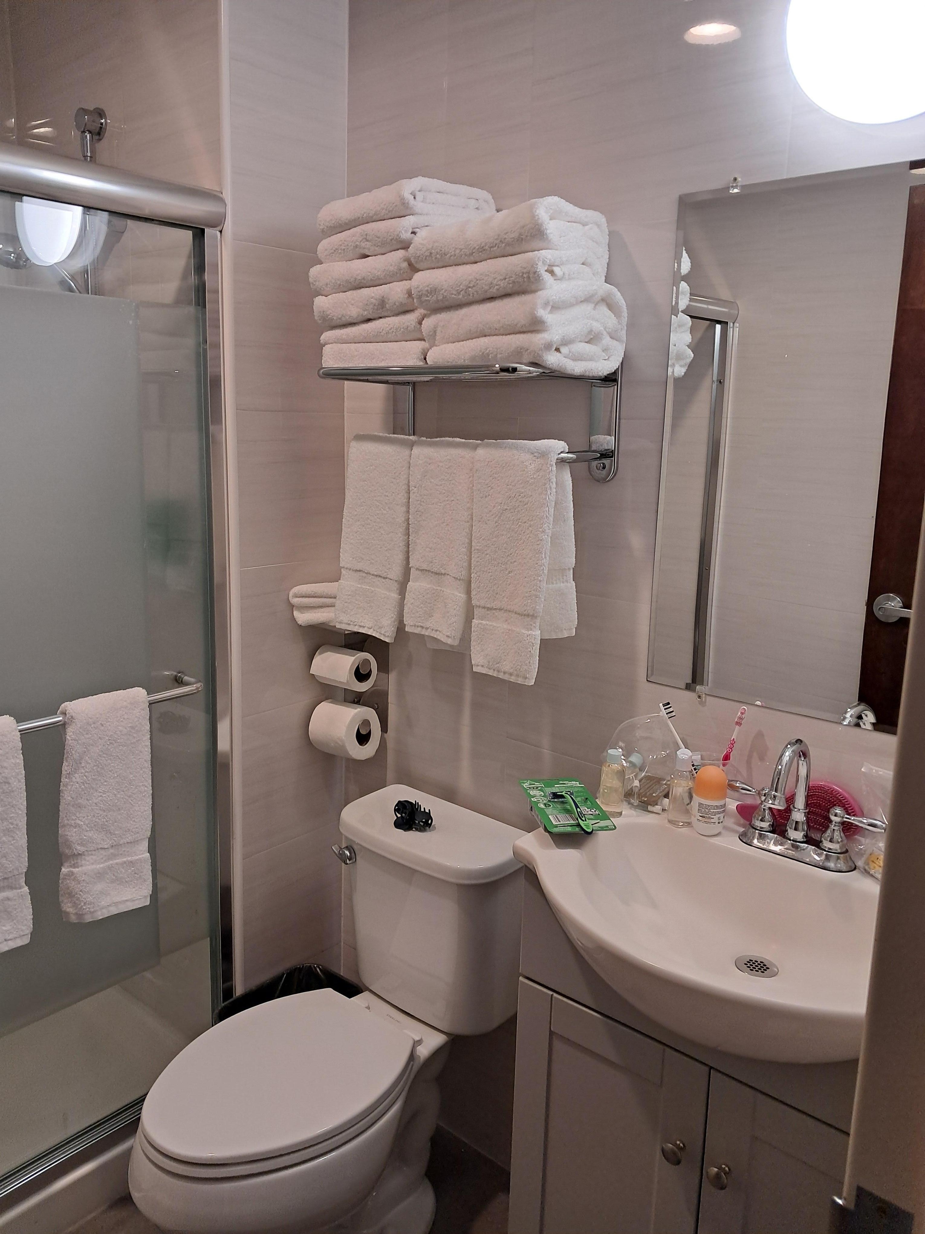 Serviettes propres tous les jours. Papiers toilettes. Distributeur produits d'hygiènes dans la douche. Savonnette pour les mains.