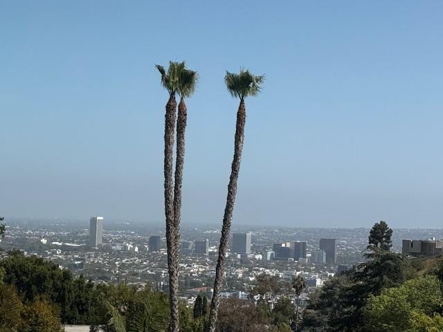 Fantastic views of LA! Great location, super close to Sunset Plaza.