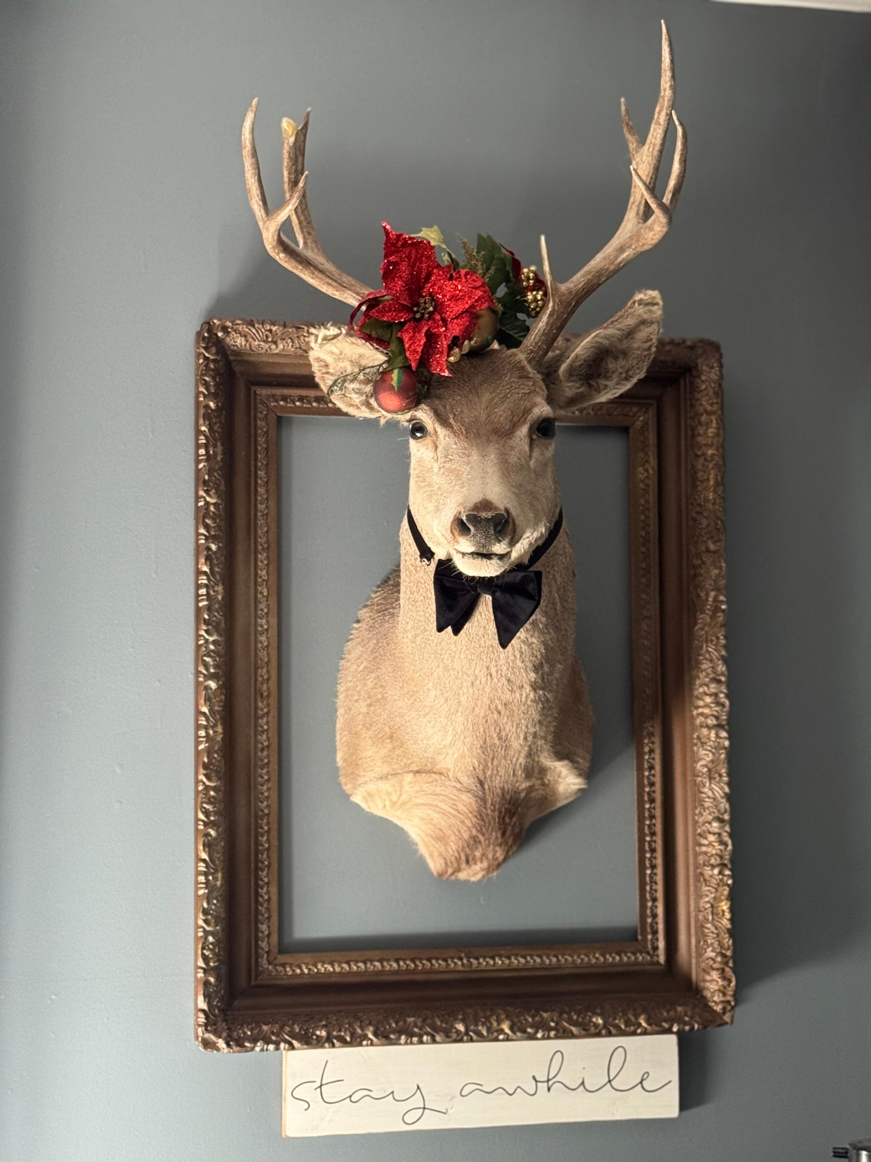 Deer decorated for Christmas 