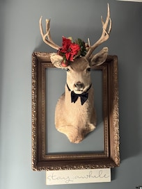 Deer decorated for Christmas