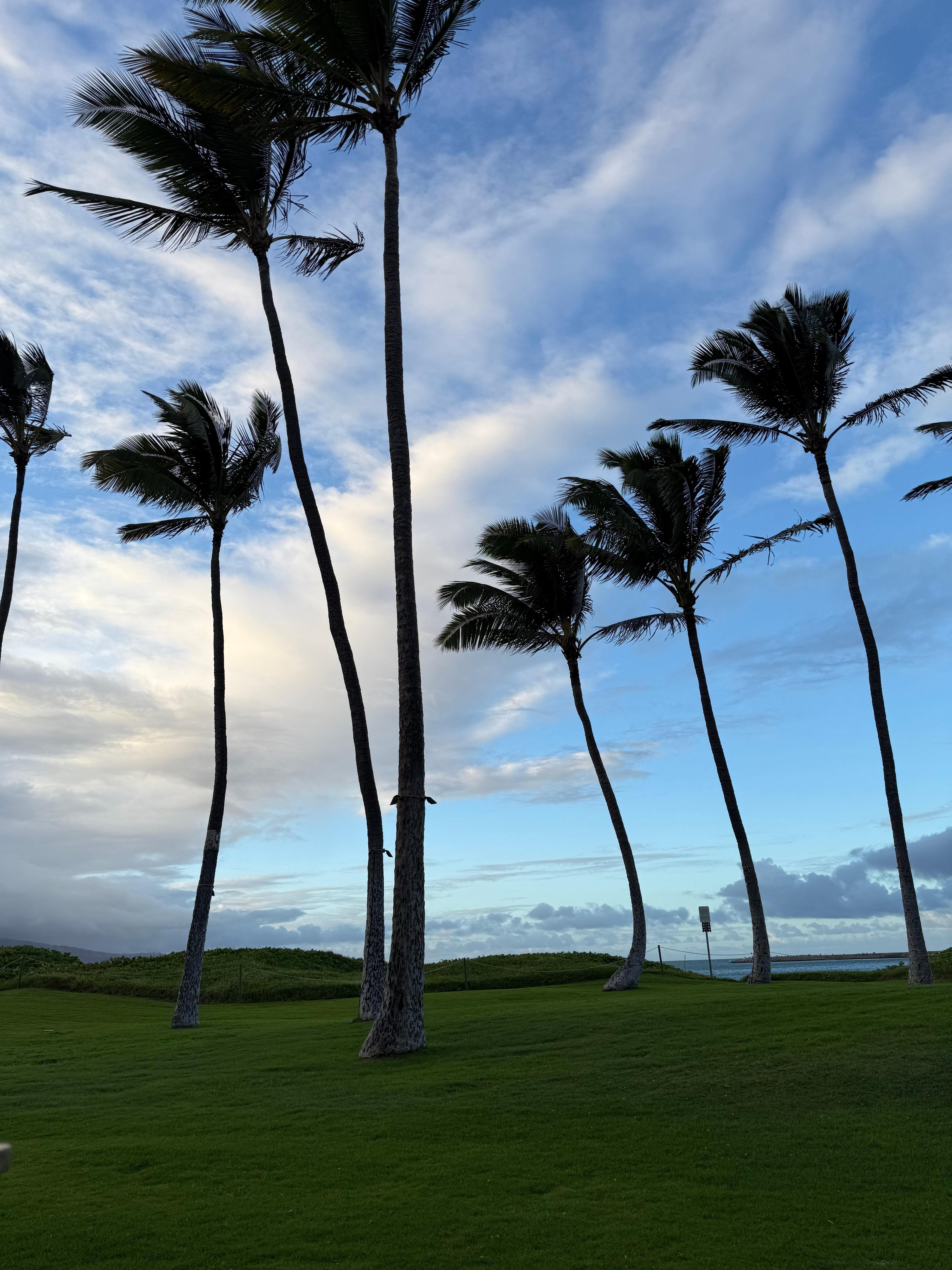 Windy with nice view