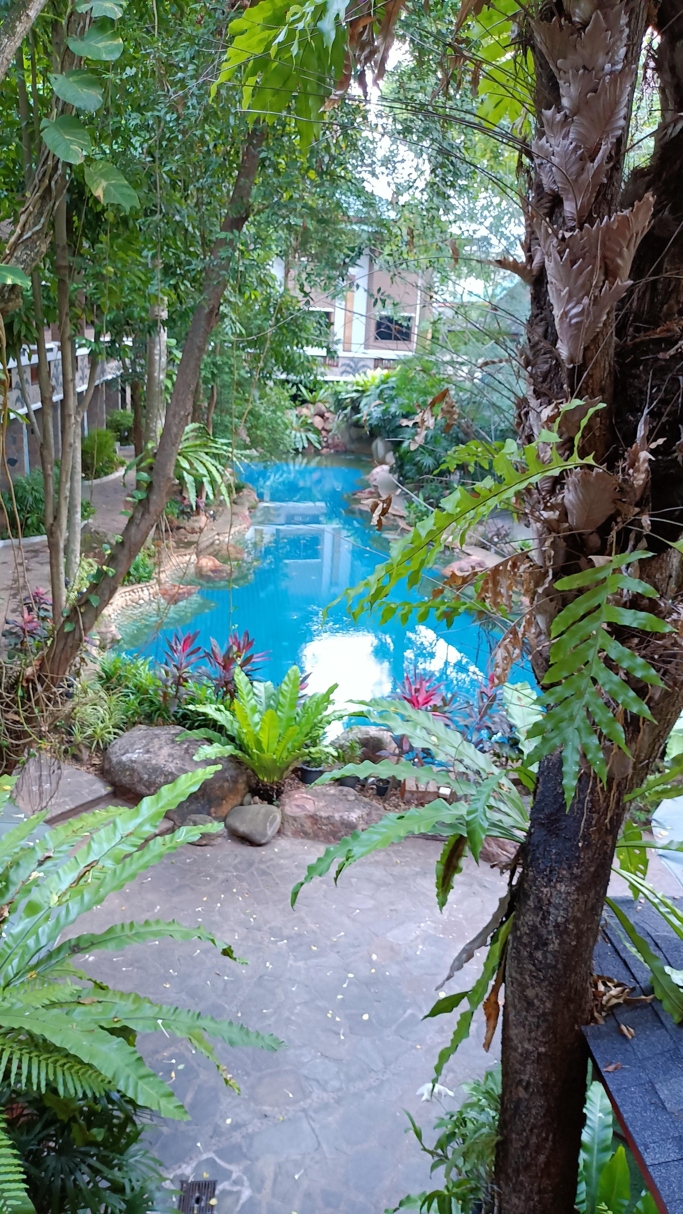 La piscine, manquerait juste un peu de banc sur le côté . à l abri des fortes chaleurs 