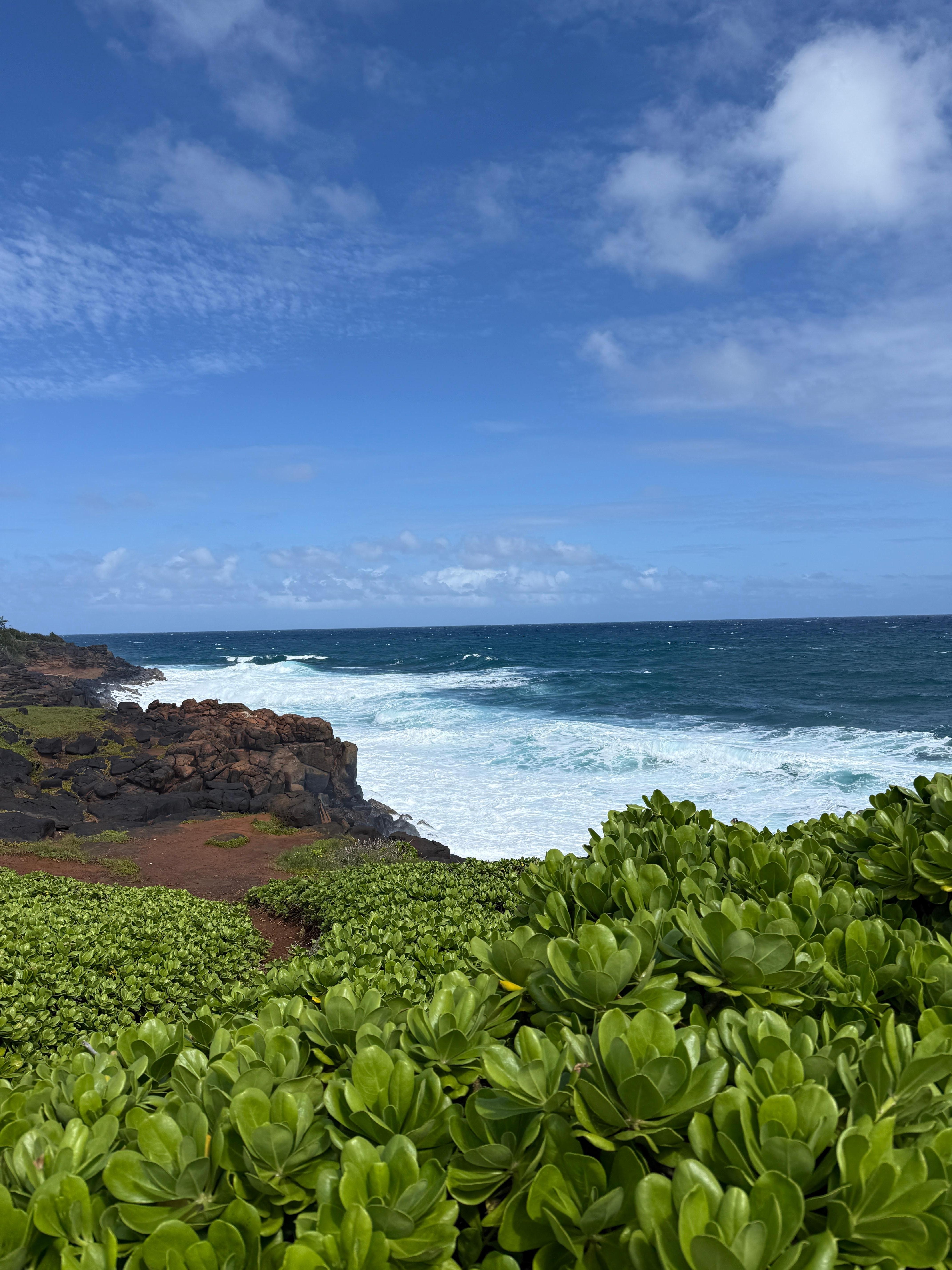 Off the path which is right in front of property for walking or biking 