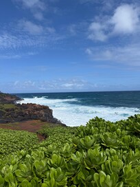 Off the path which is right in front of property for walking or biking