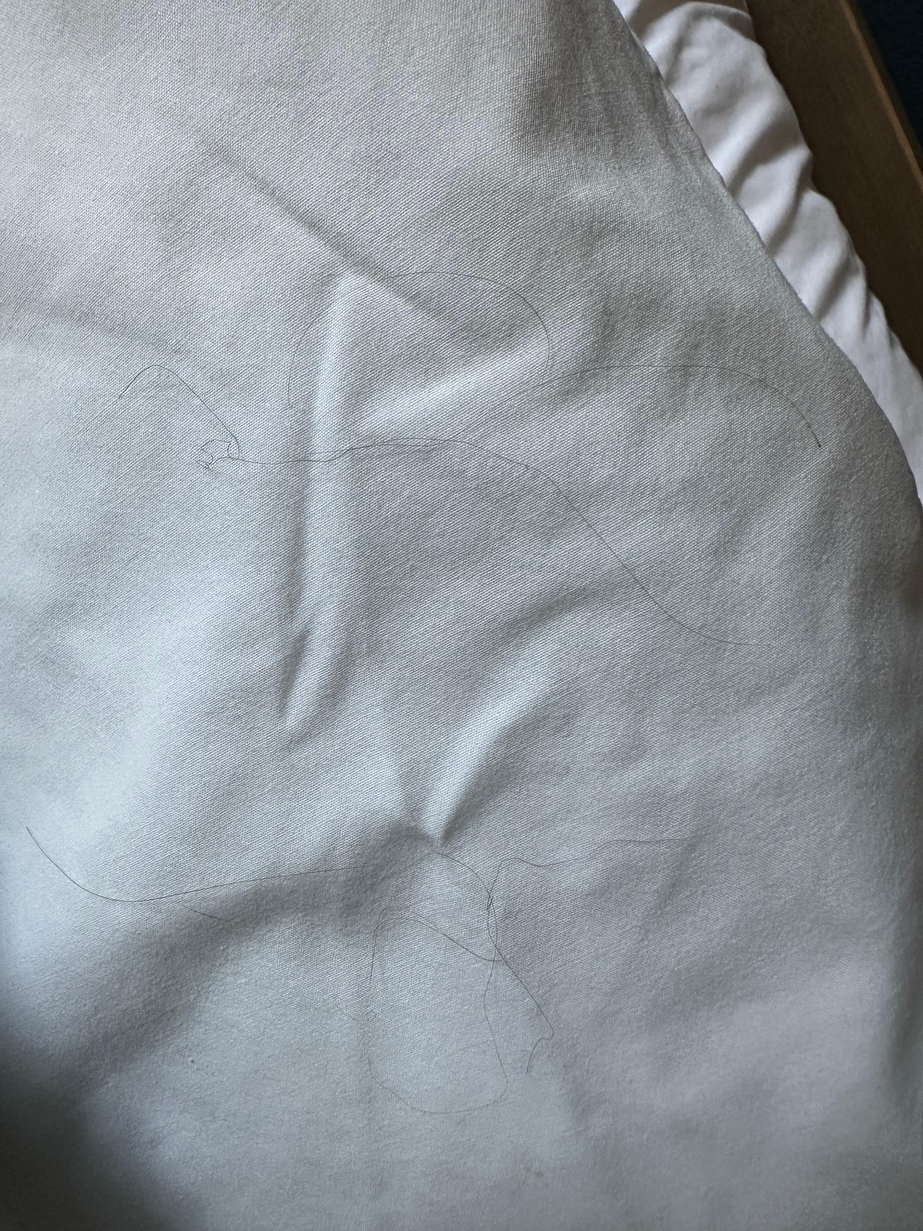 Hairy pillow