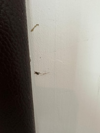 Dried on stuff by headboard