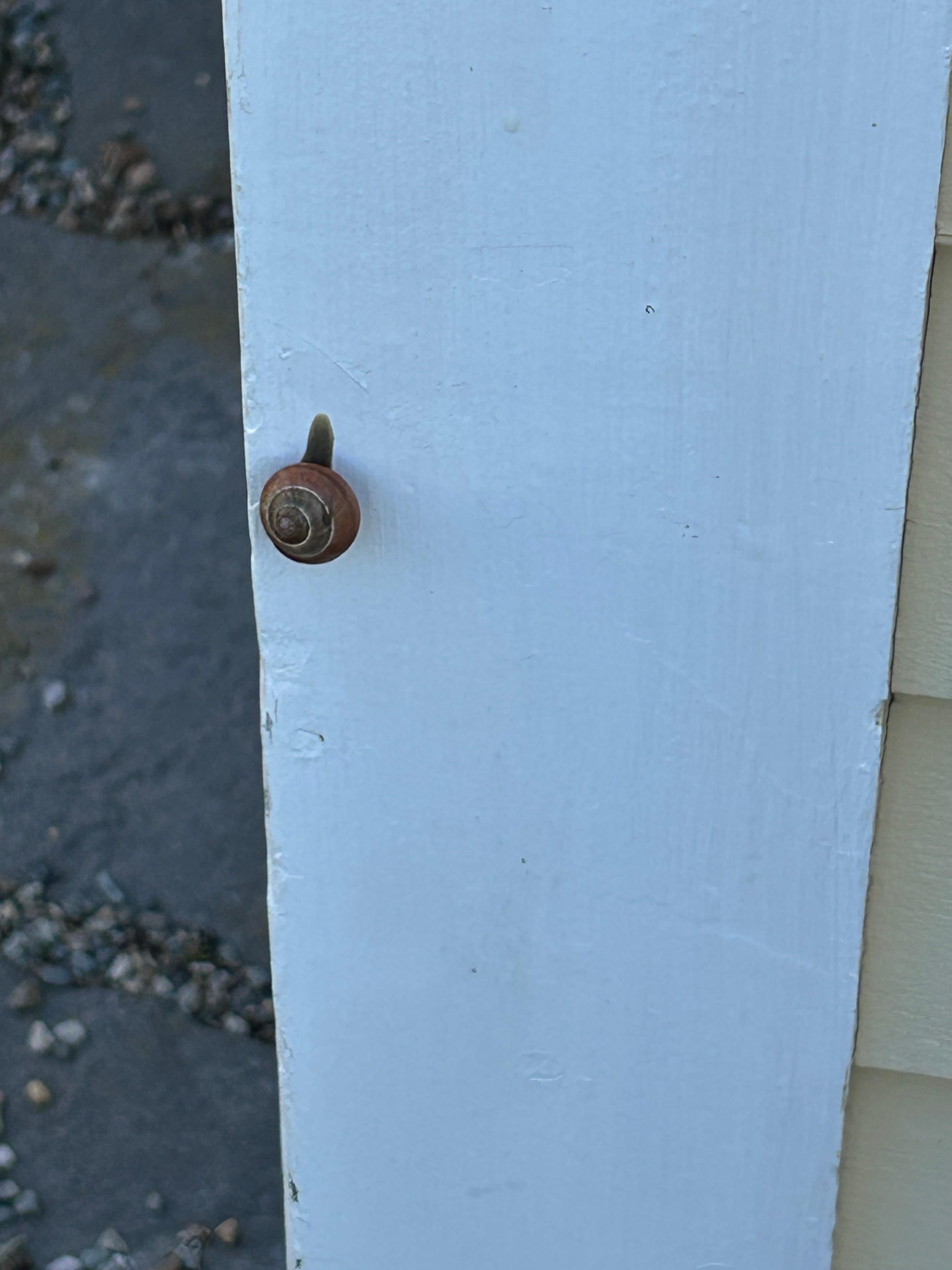 A tiny visitor to welcome us!