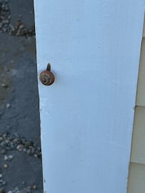 A tiny visitor to welcome us!