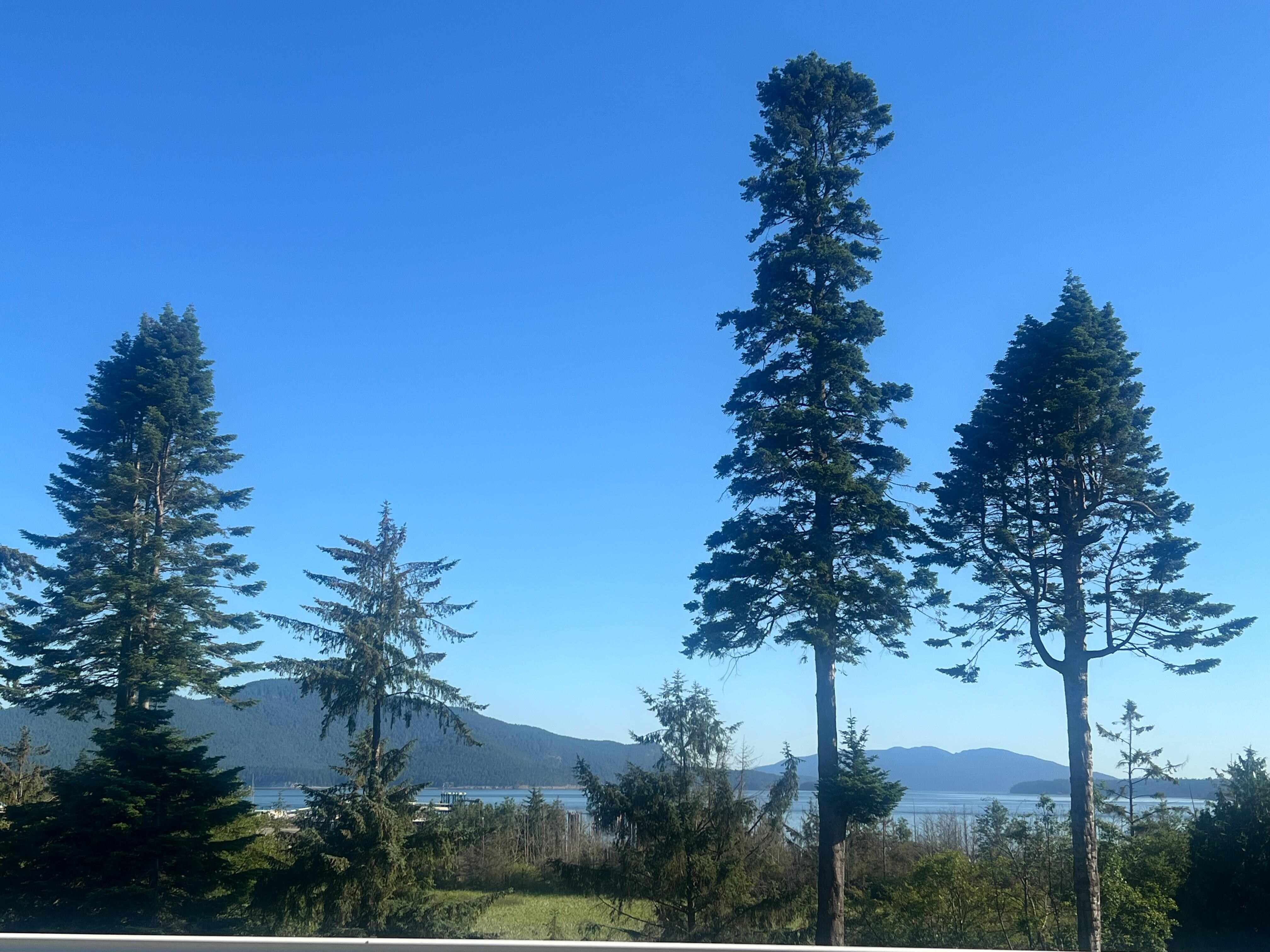 Nice view!