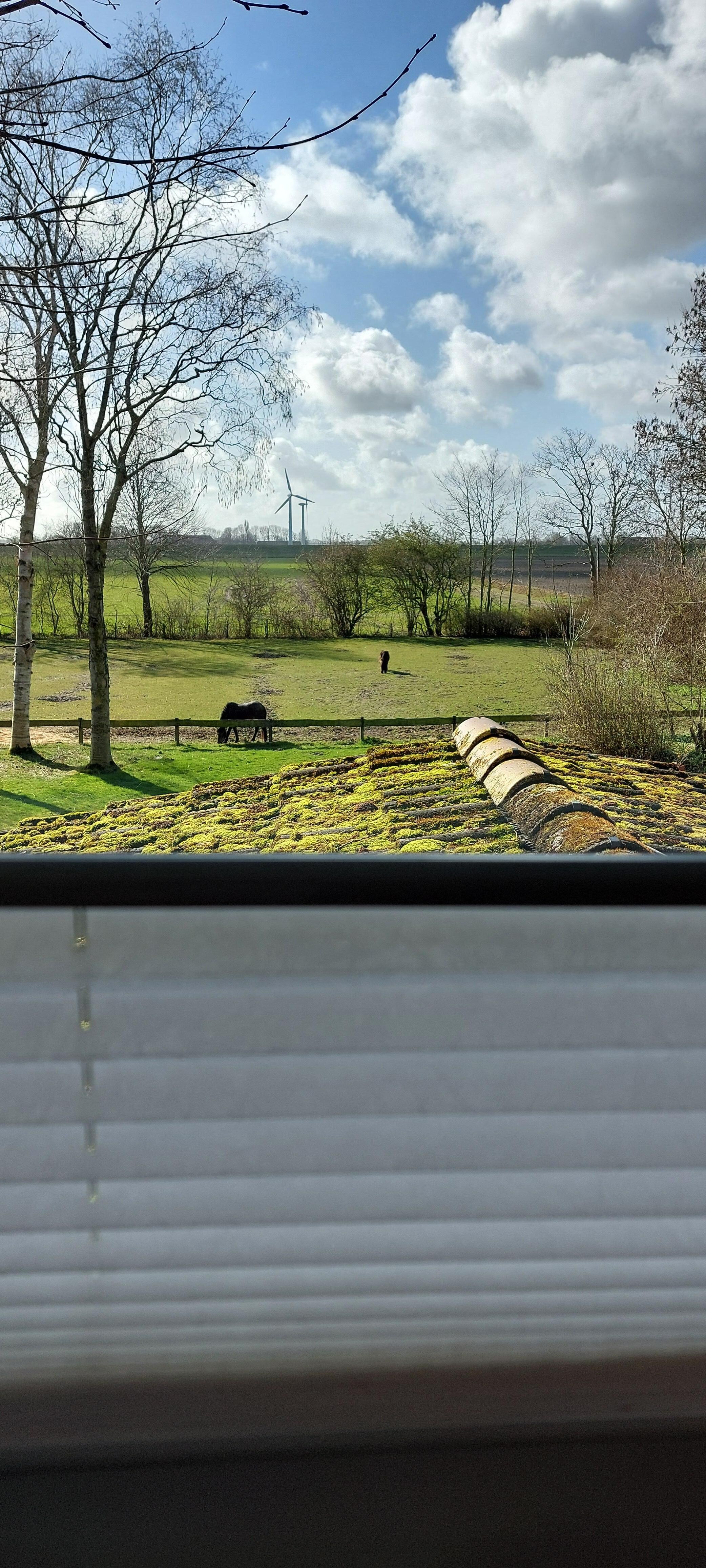 Ausblick vom Esstisch