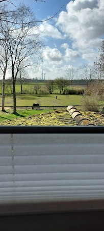 Ausblick vom Esstisch