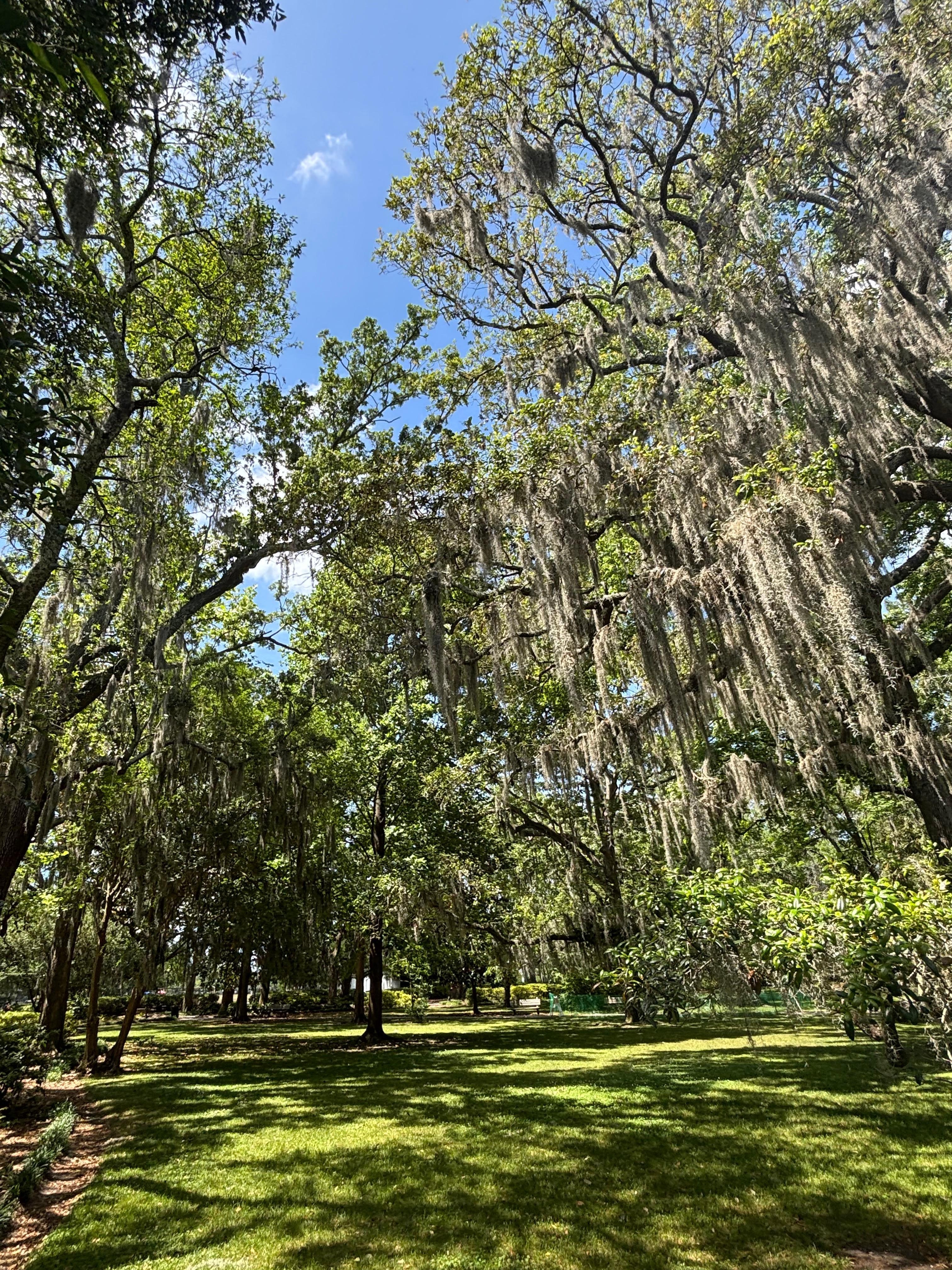 Forsyth Park is just around the corner from the apartment! 