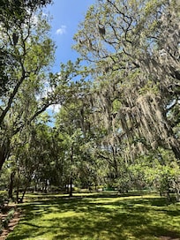 Forsyth Park is just around the corner from the apartment!
