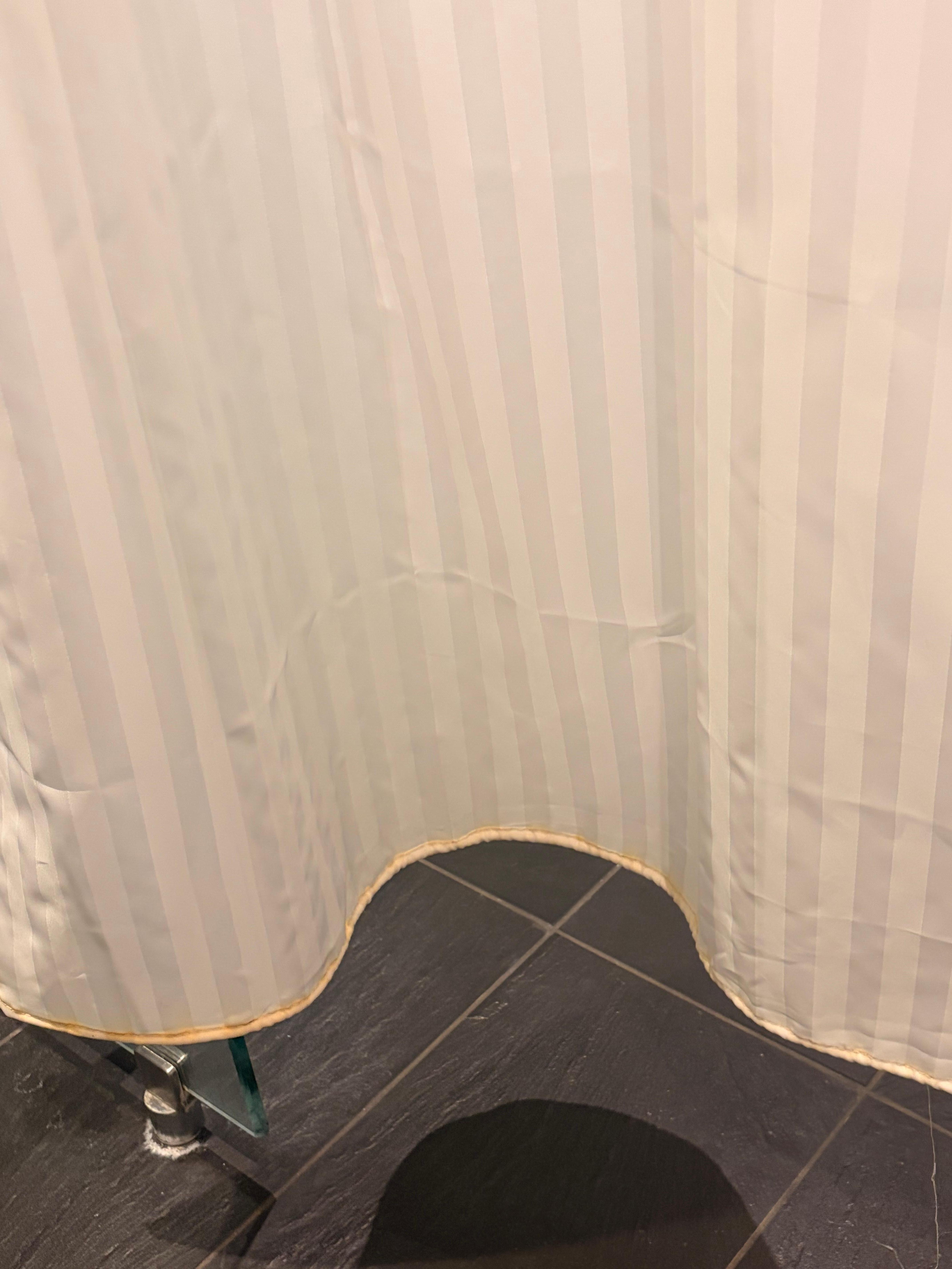 Mouldy shower curtain 