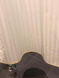 Mouldy shower curtain