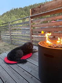 Enjoying the side patio with pooch and fire.