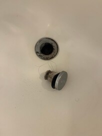 Mold found in shower drain