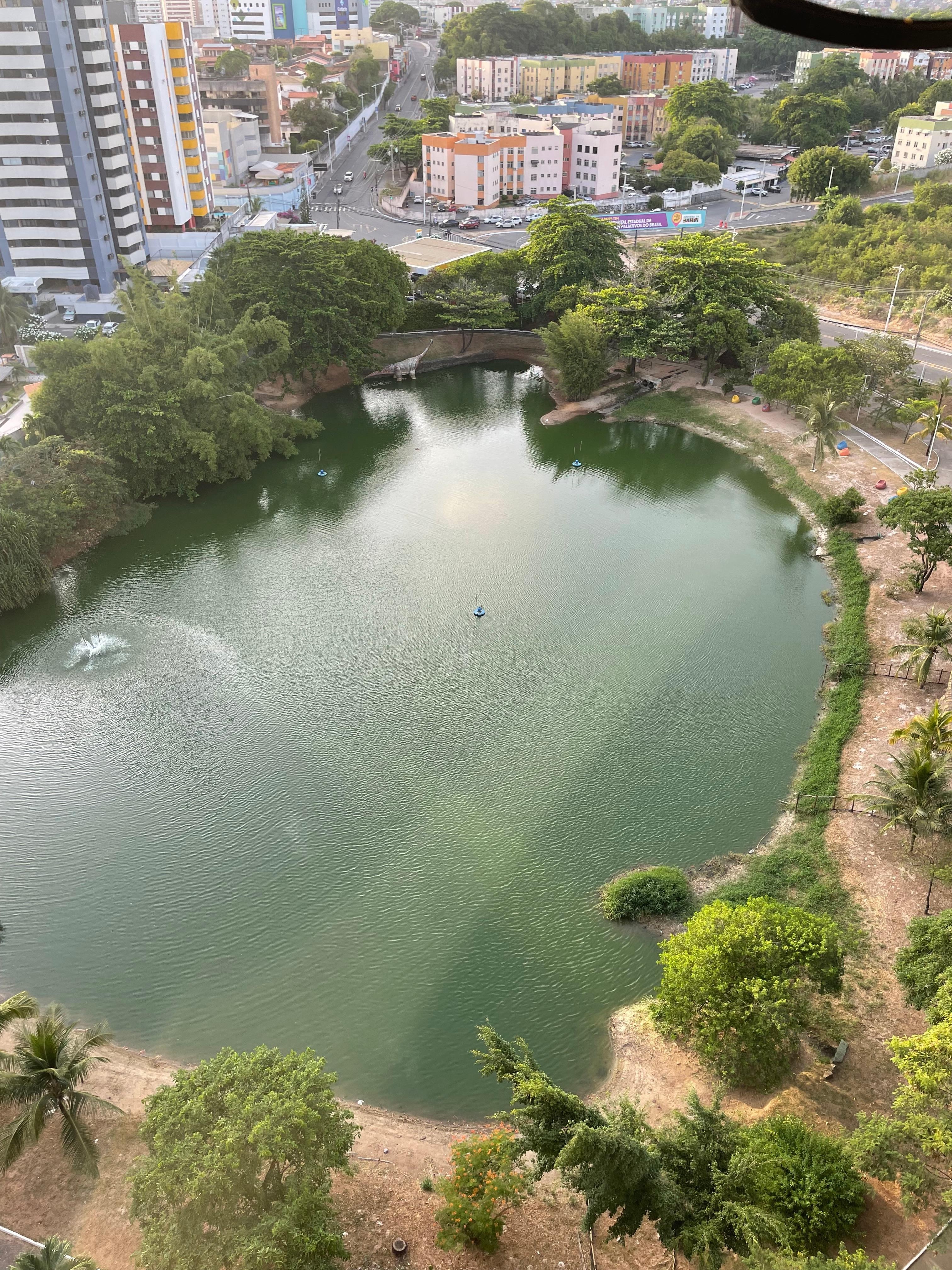 O parque ao fundo do hotel. 