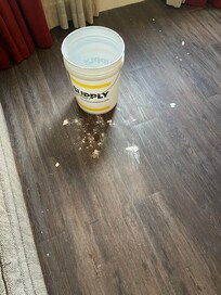 Plaster from leaking roof in room