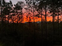 Surprisingly beautiful sunsets.