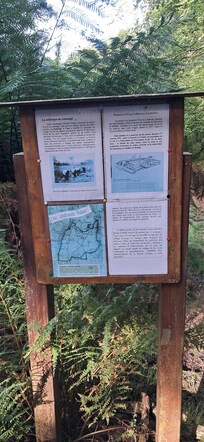 autour du parc