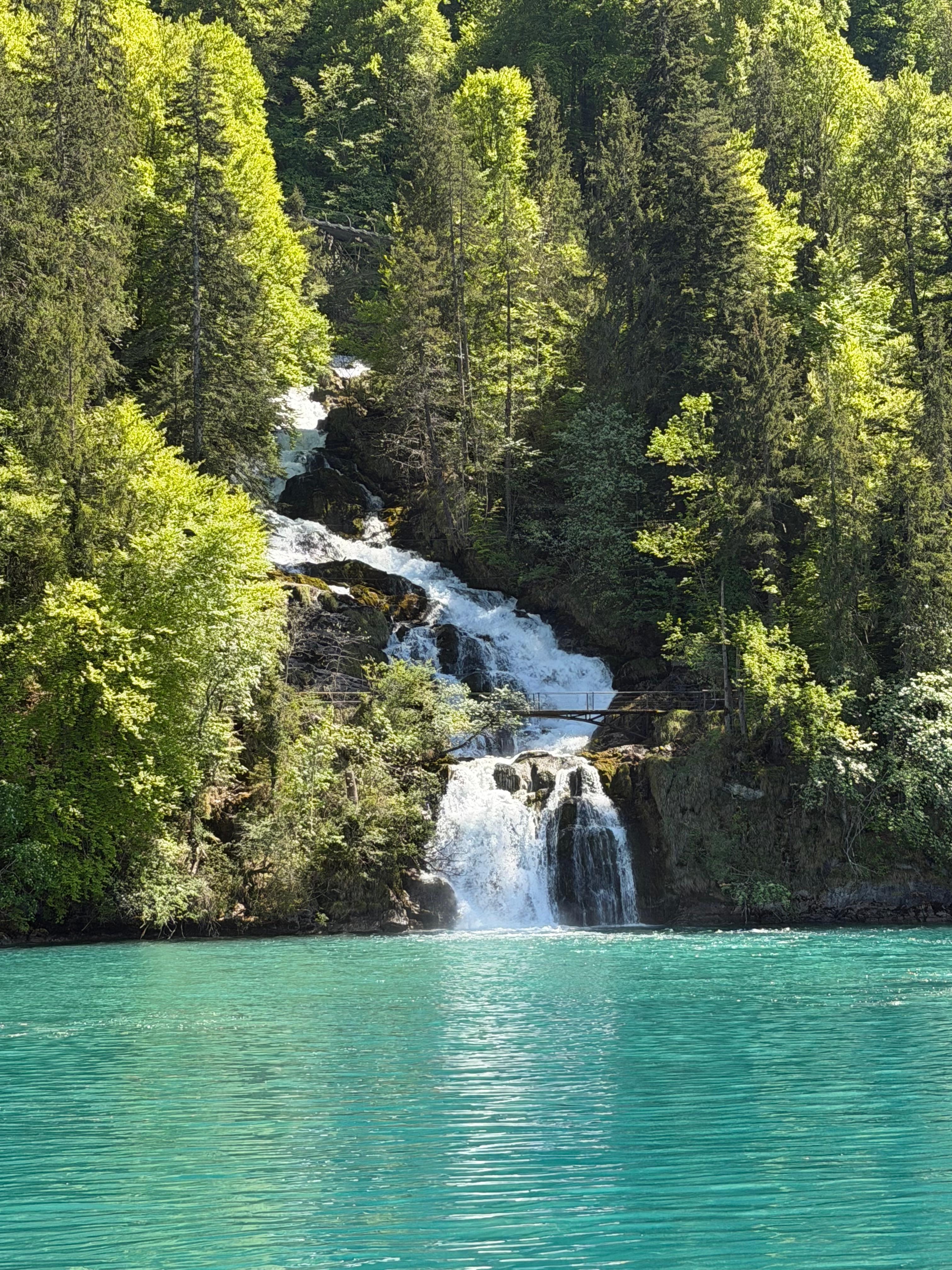 Beautiful lake Brienz cruise! 