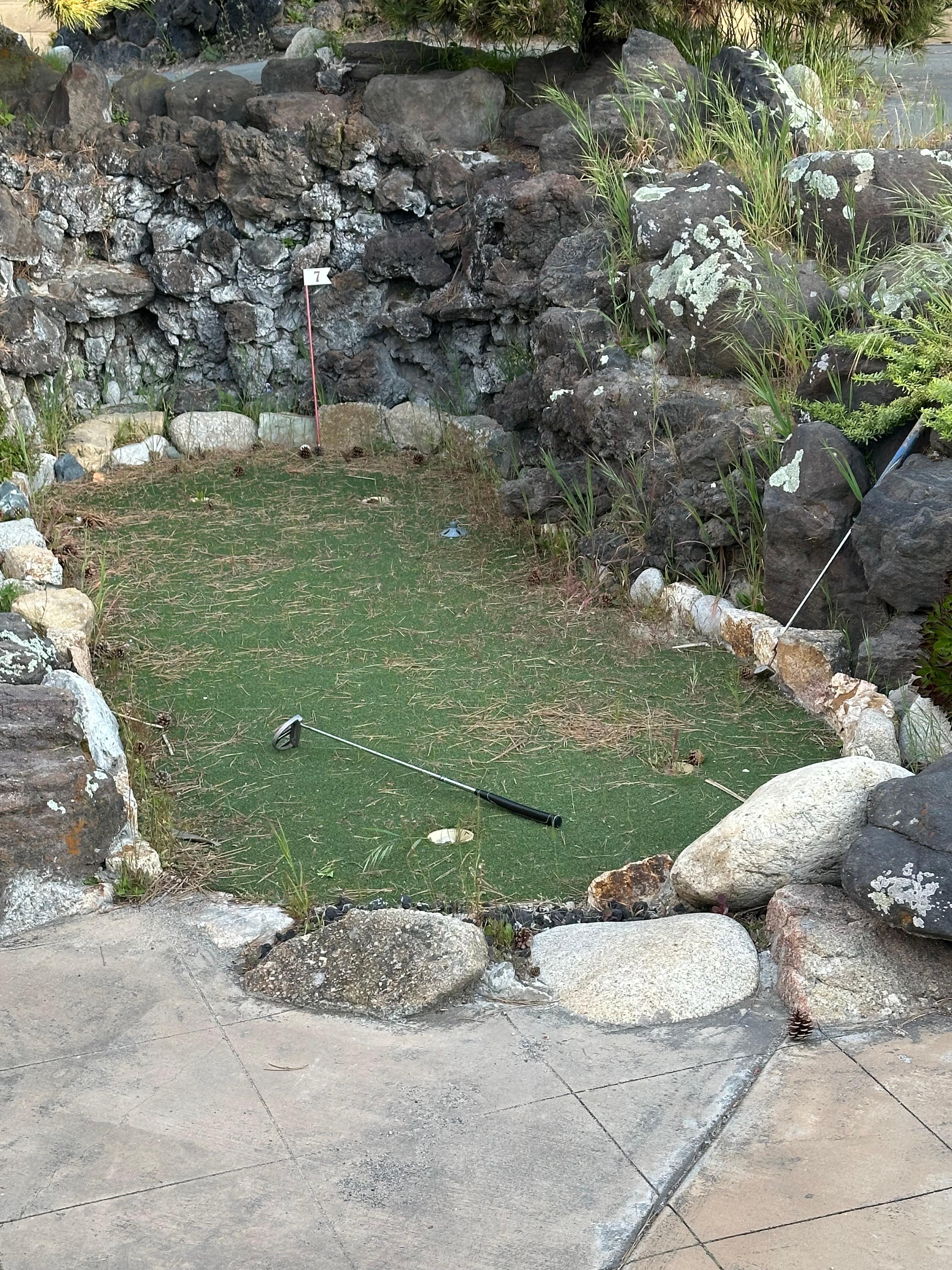 Putting green not msintained