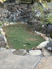 Putting green not msintained