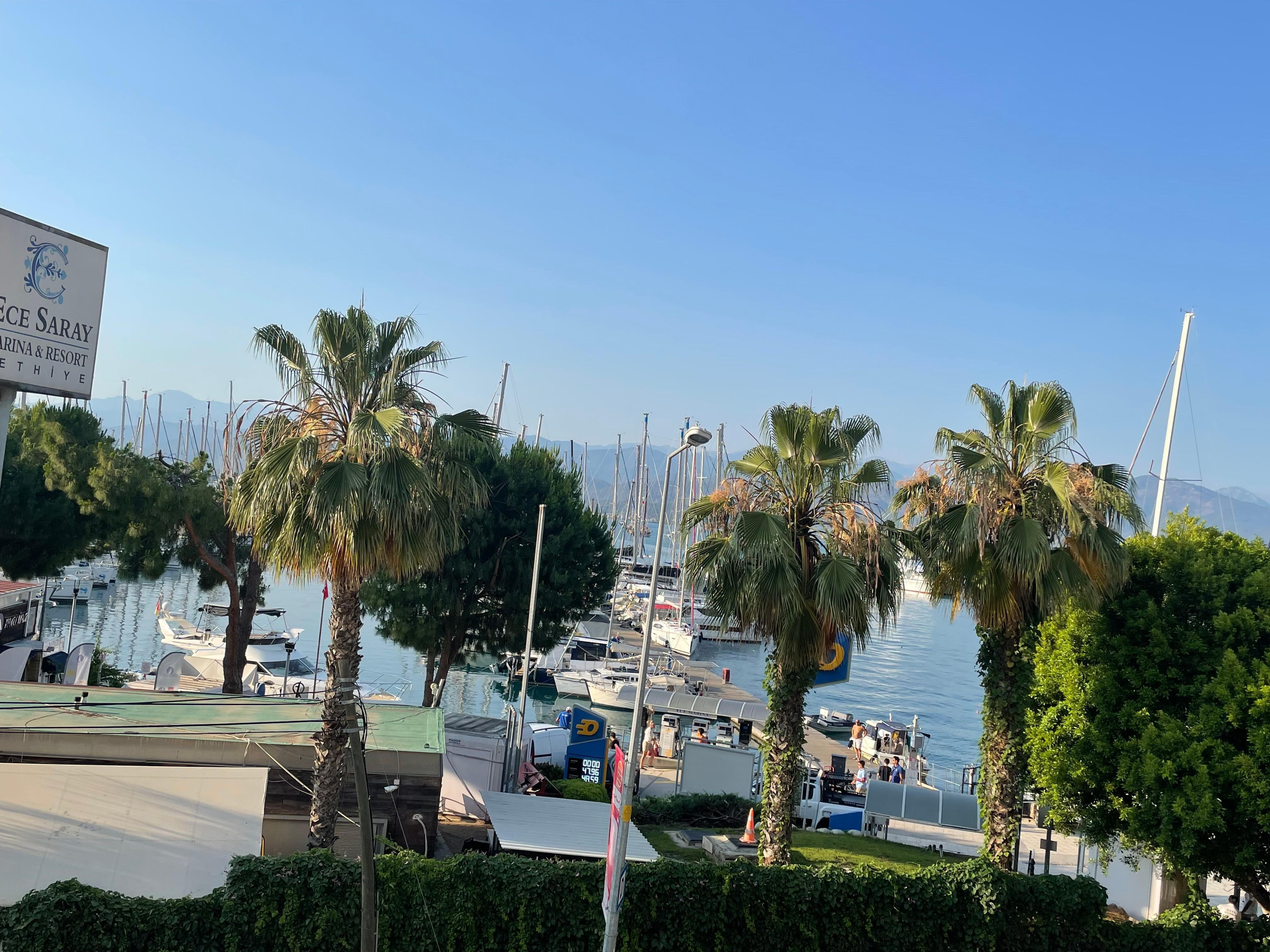 View from my room