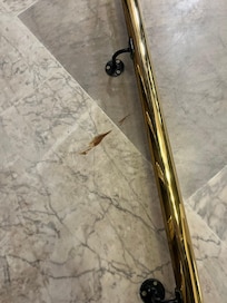 Hope this is Nutella