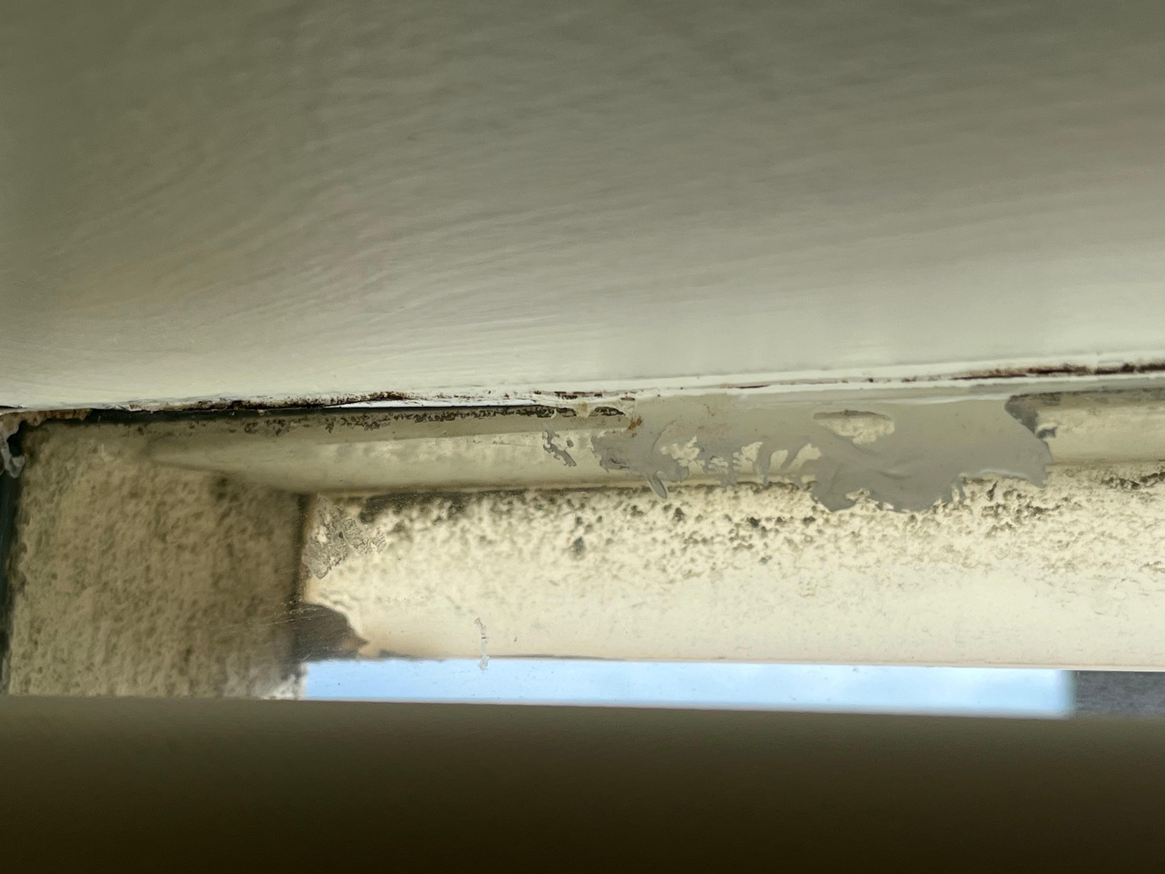 Dirt/mold on windows