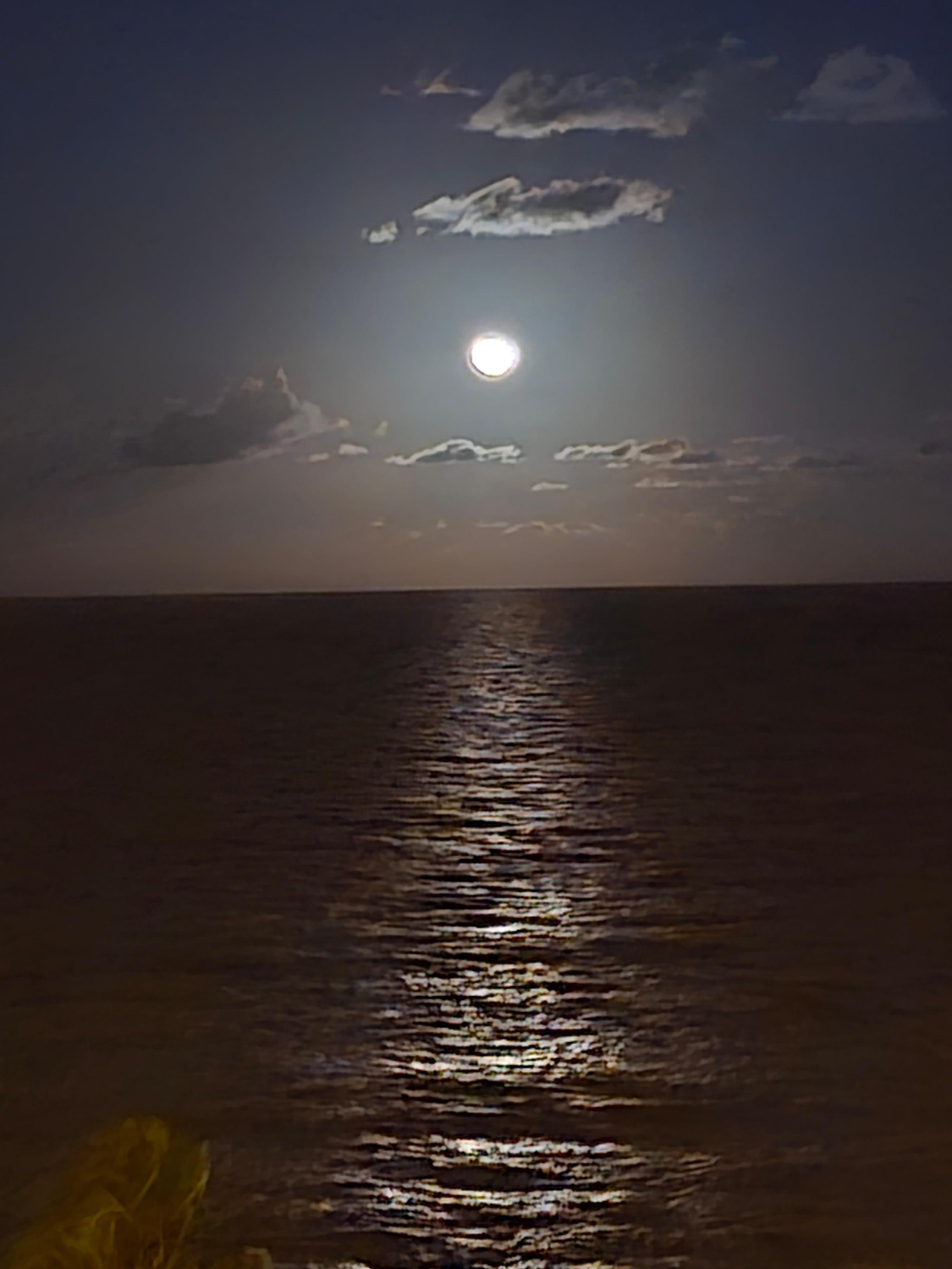 Moonlight view from room.