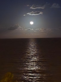 Moonlight view from room.