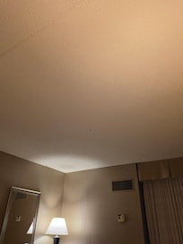 Ceiling stains