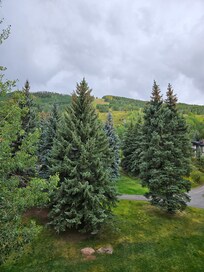 Mountain view, 4th floor