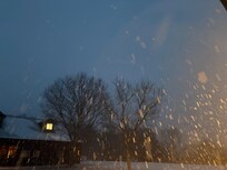 Snowfall on the back patio