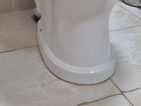 Dirty toilet and floor tiles. Unacceptable.