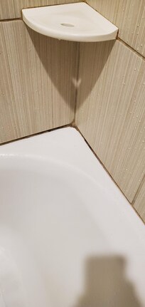 Mold in shower
