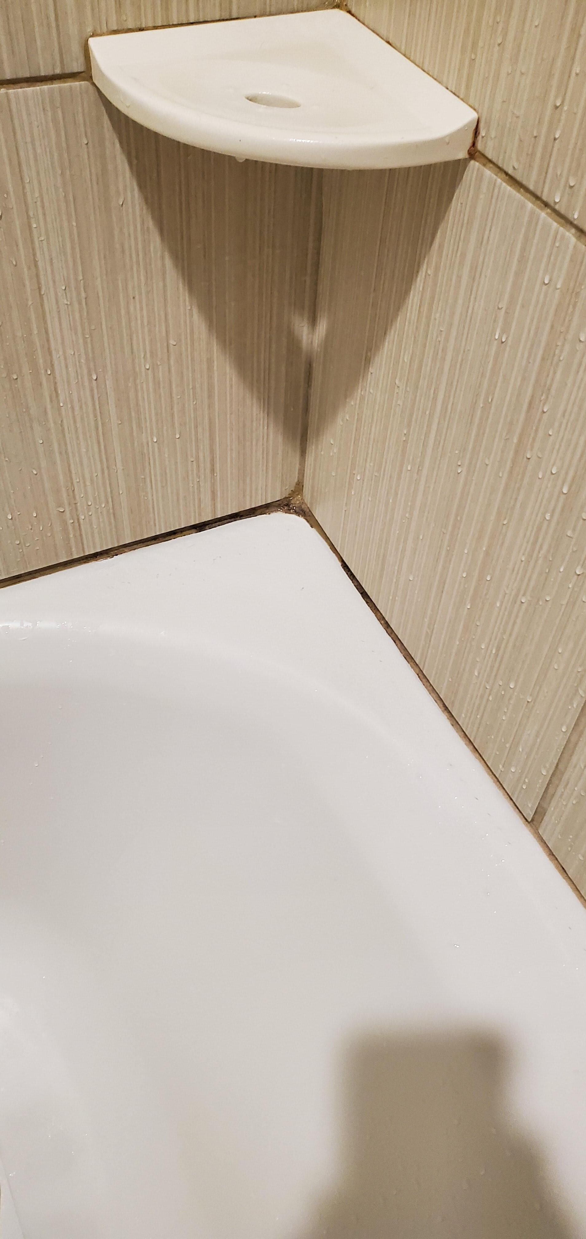 Mold in shower