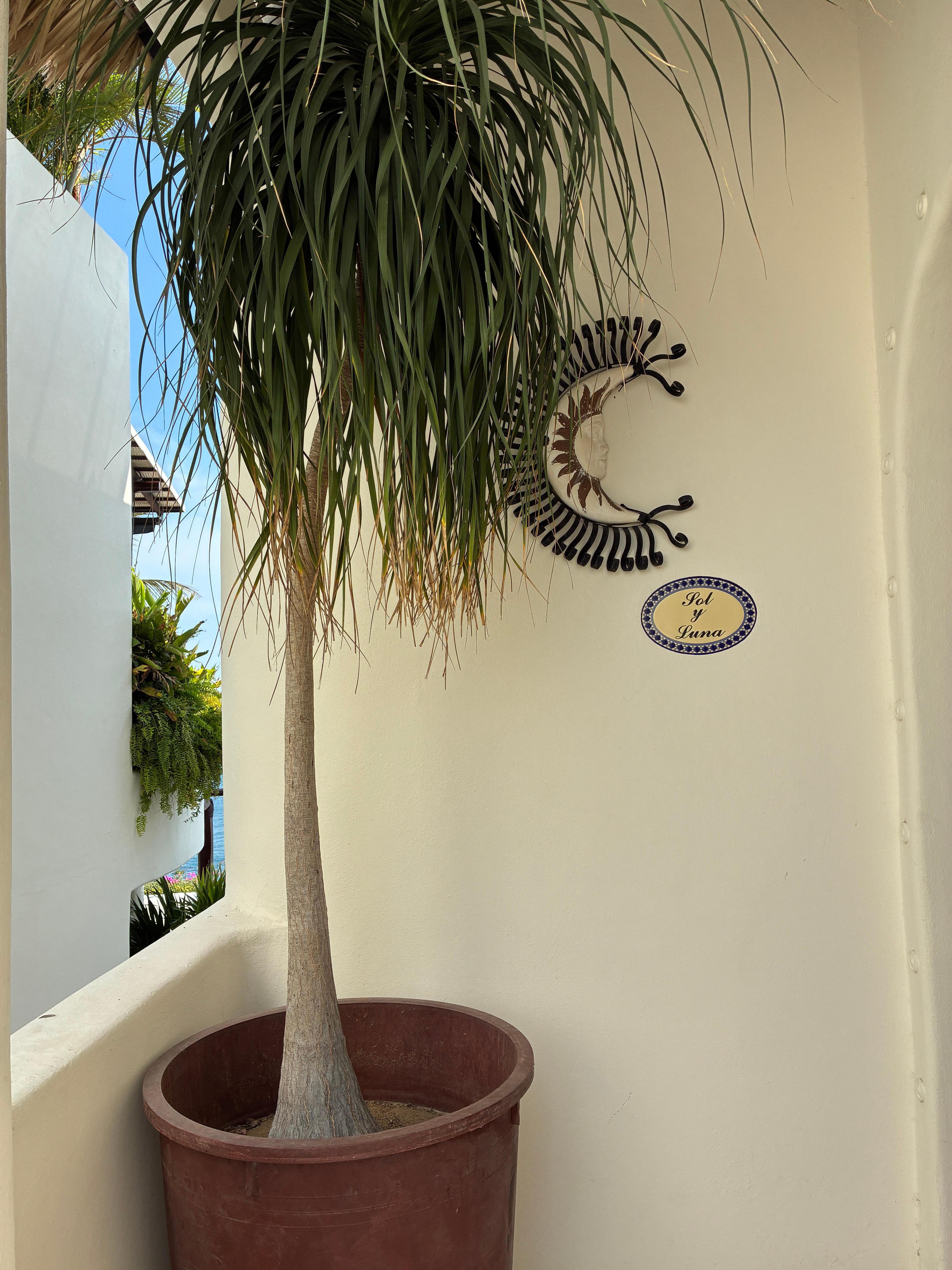 Entrance to Sol y Luna.