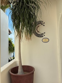 Entrance to Sol y Luna.