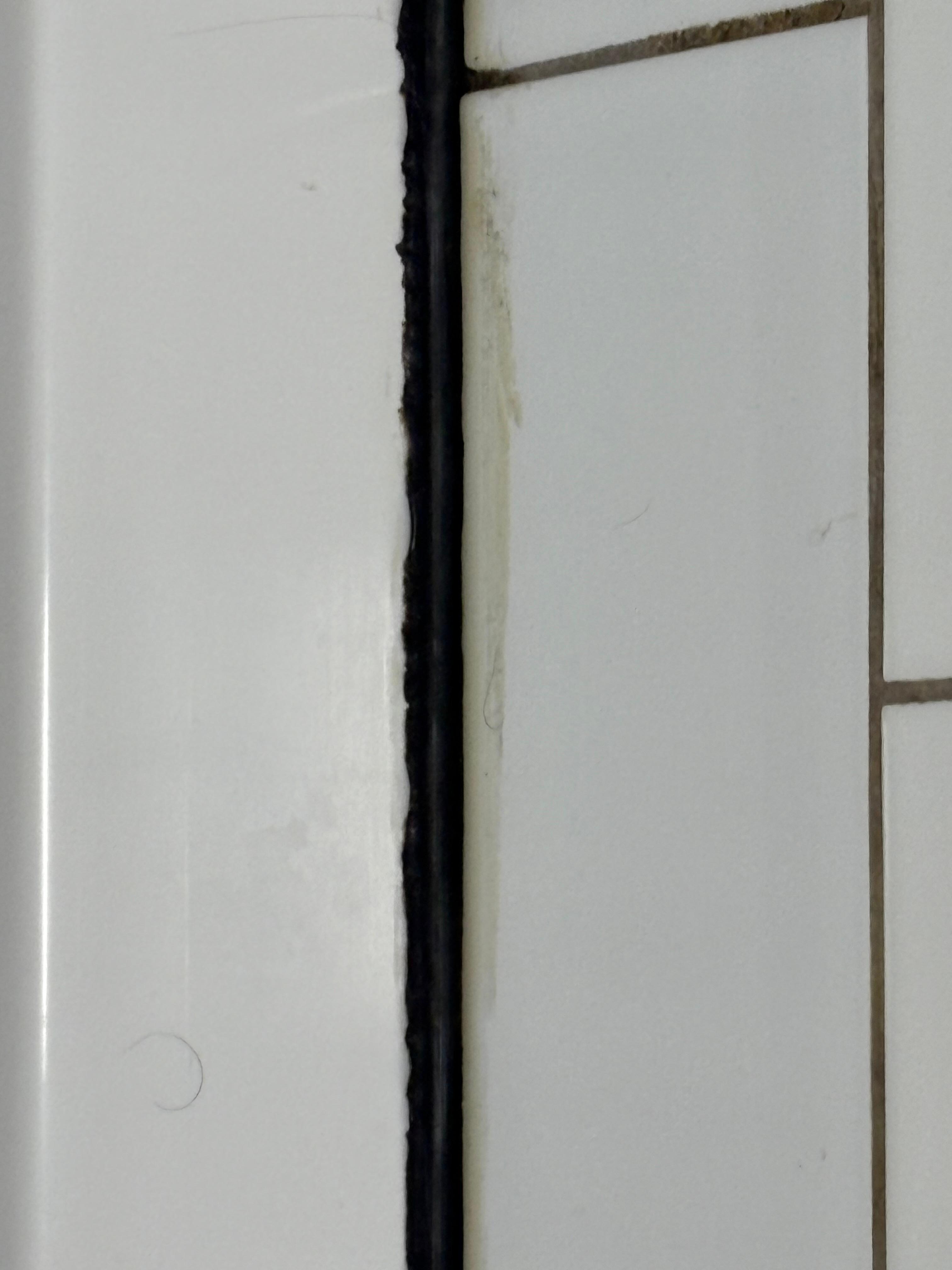 Thus is another picture of the bathtub. 
