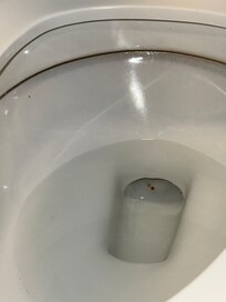 This was the fecal matter left in the toilet of my first room