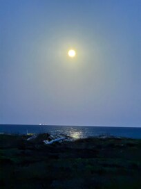 Night of the pink moon.