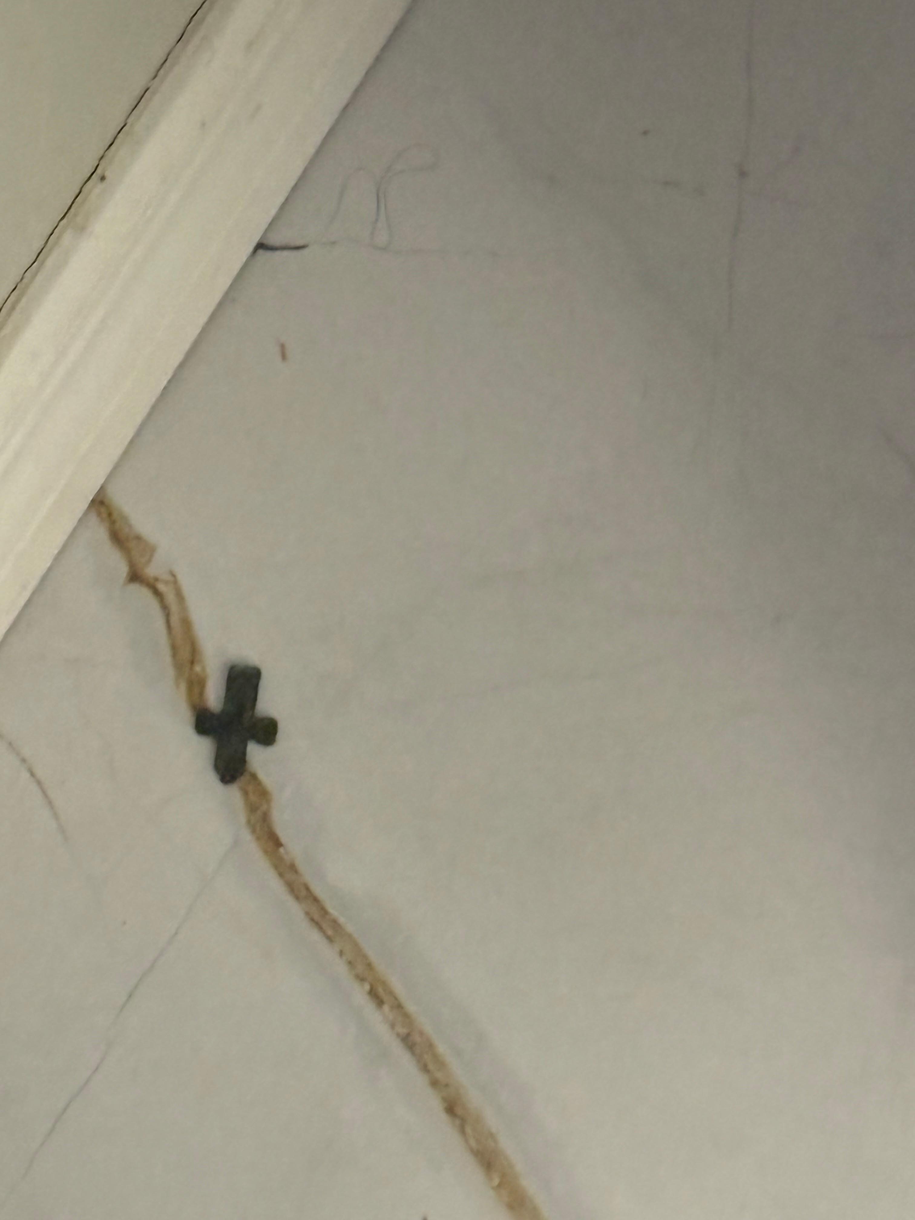 This was on the floor in the bathroom when we arrived