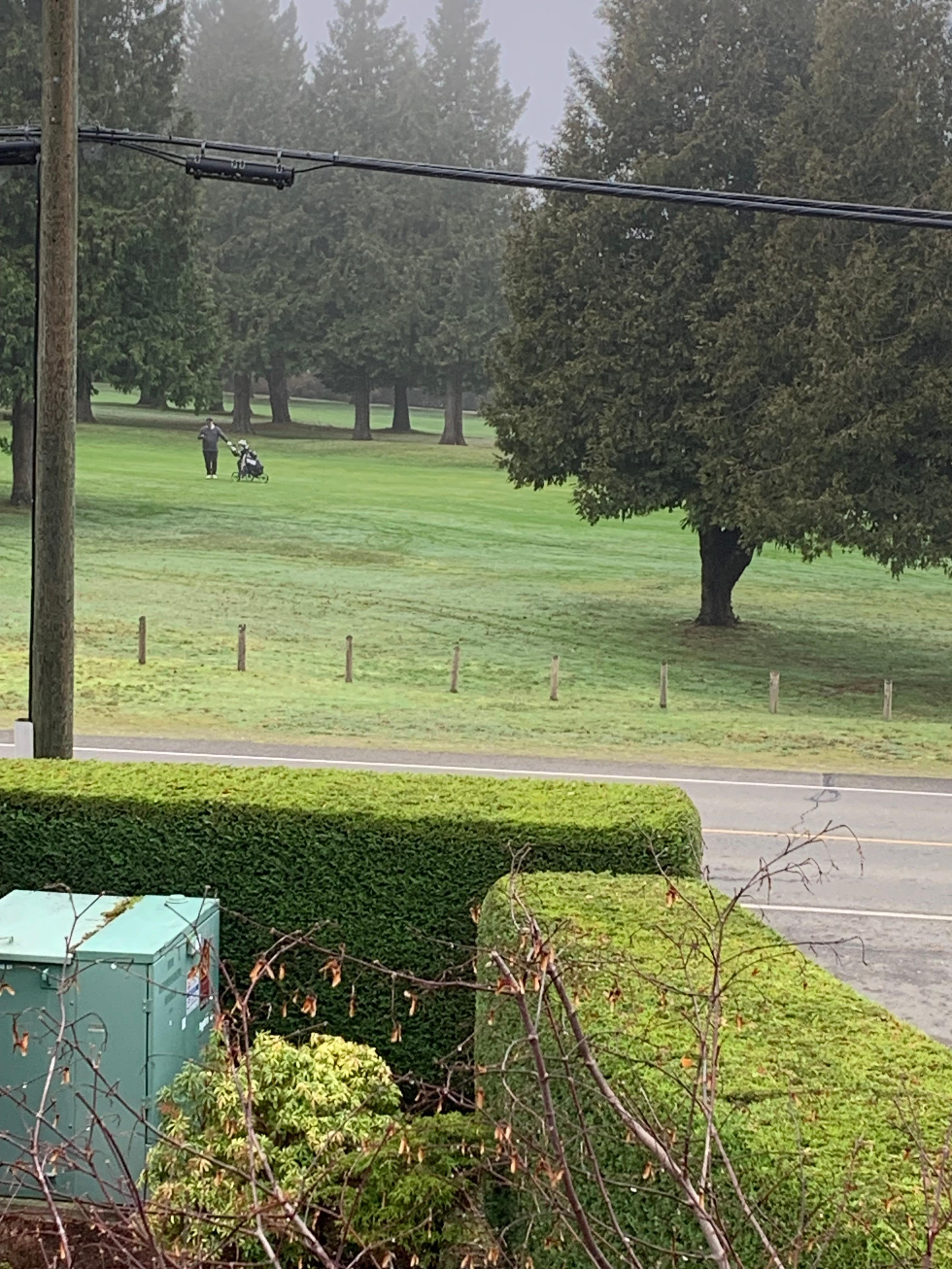 Golfers to watch across from the village.